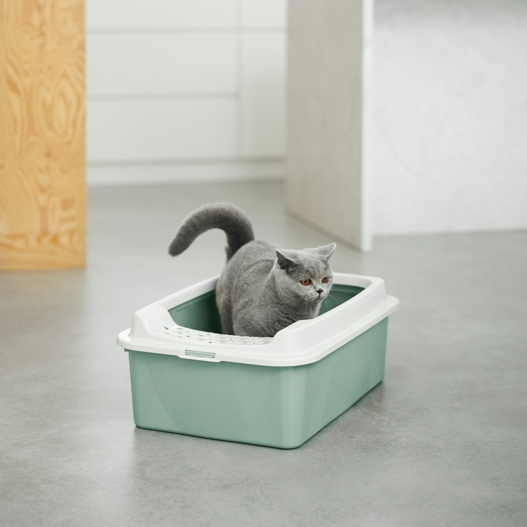 Bonnie Açık Kedi Tuvaleti