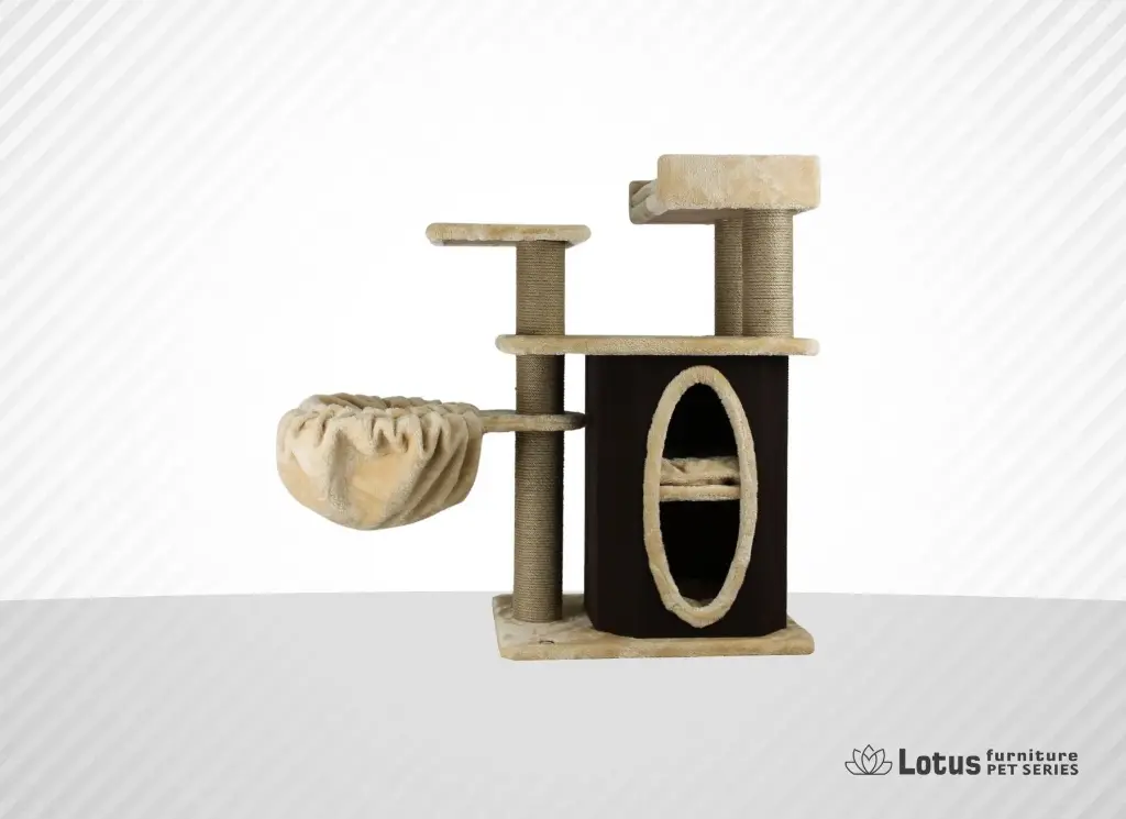 Alanya Kedi Tırmalama