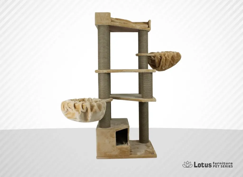 Shangai Cat Scratcher