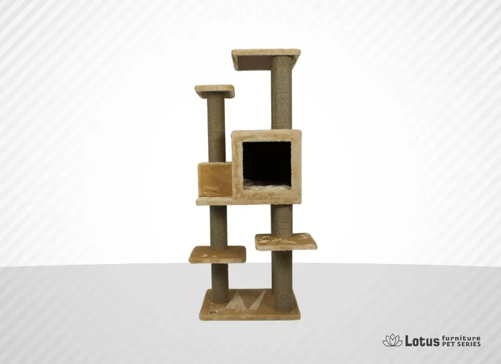 Zürih Cat Scratcher