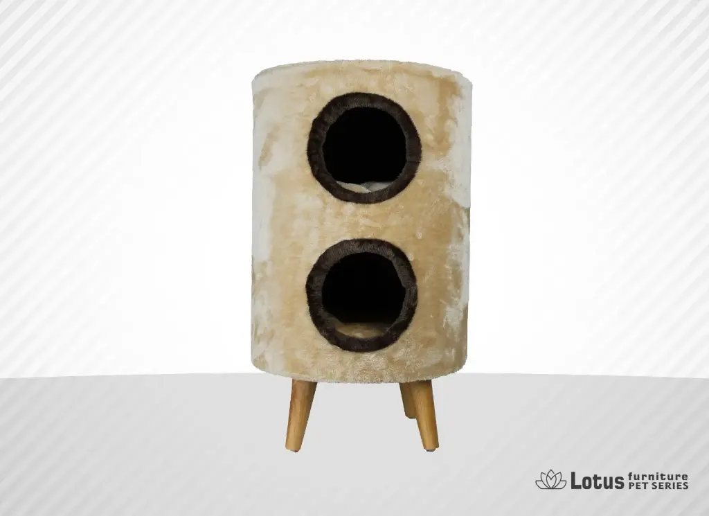 Nice Kedi Tırmalama