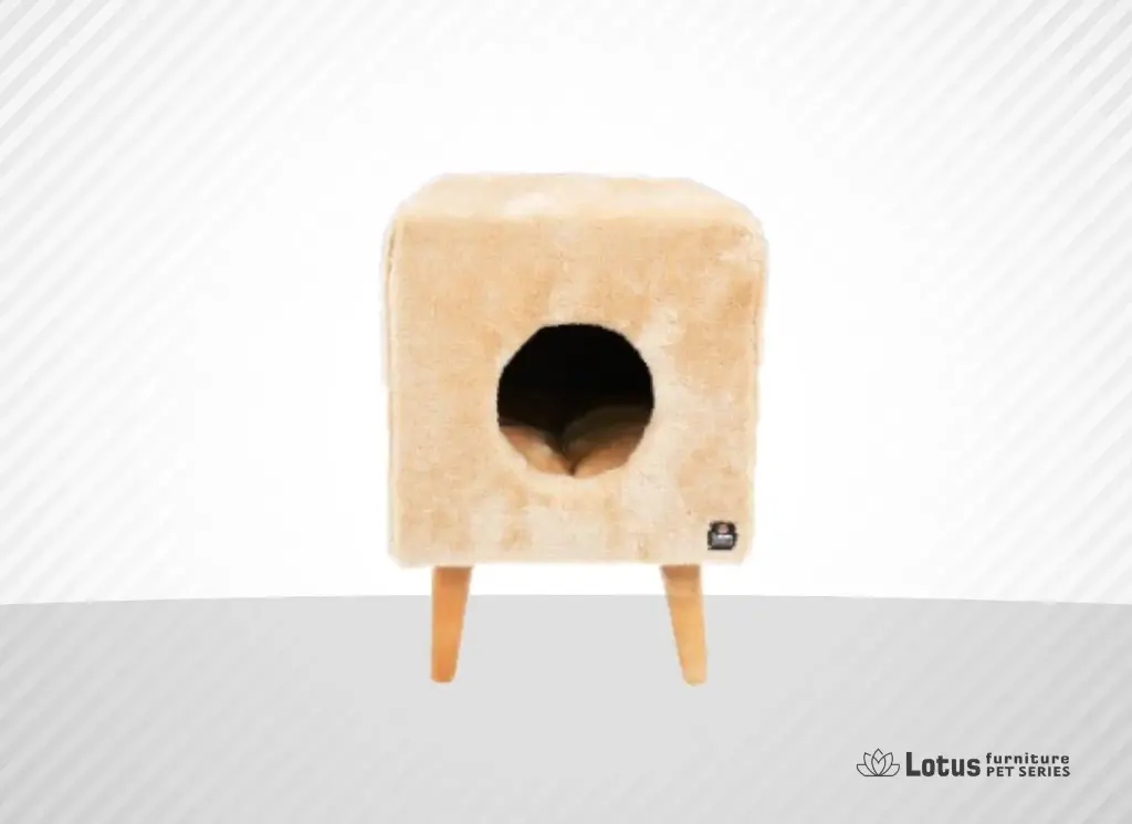 Linz Kedi Tırmalama