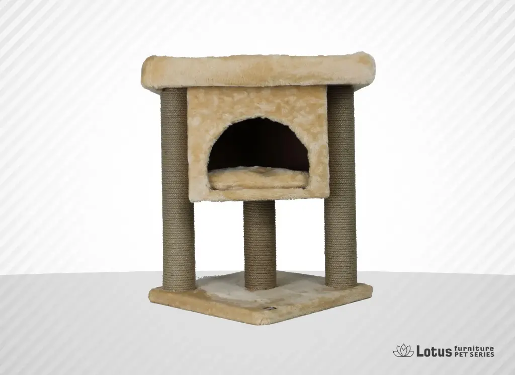 İzmir Kedi Tırmalama