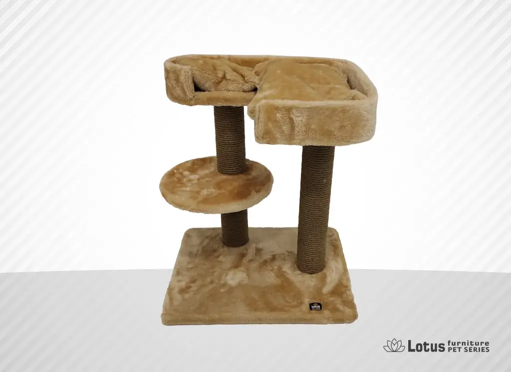 Padua Kedi Tırmalama