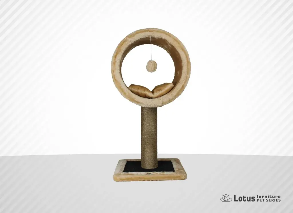 Bordo Kedi Tırmalama