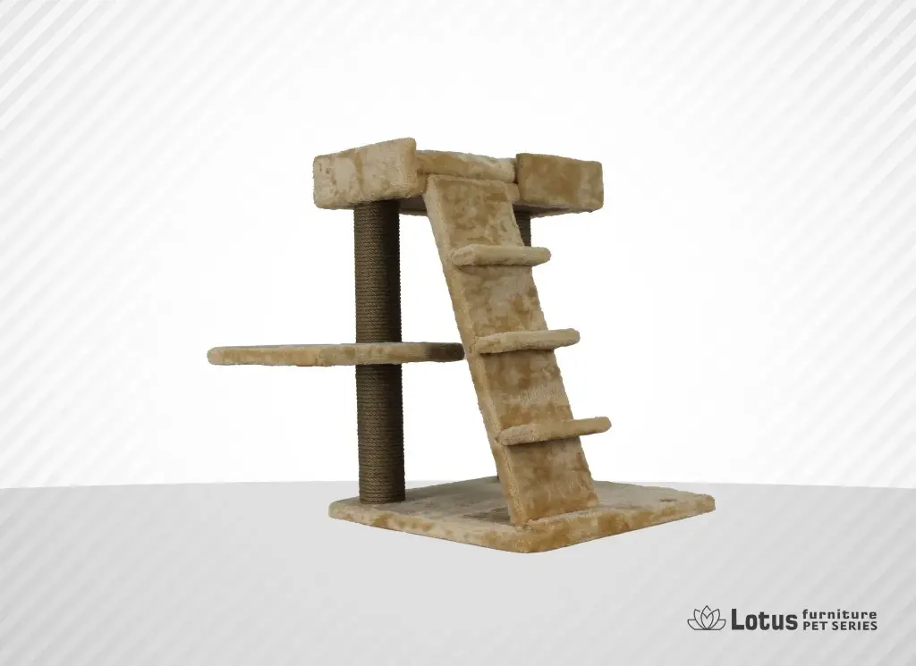 Doha Kedi Tırmalama