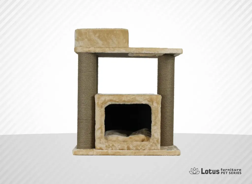 Vilnius Kedi Tırmalama