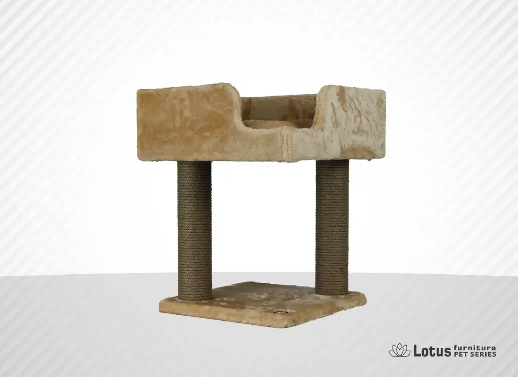 Lyon Kedi Tırmalama