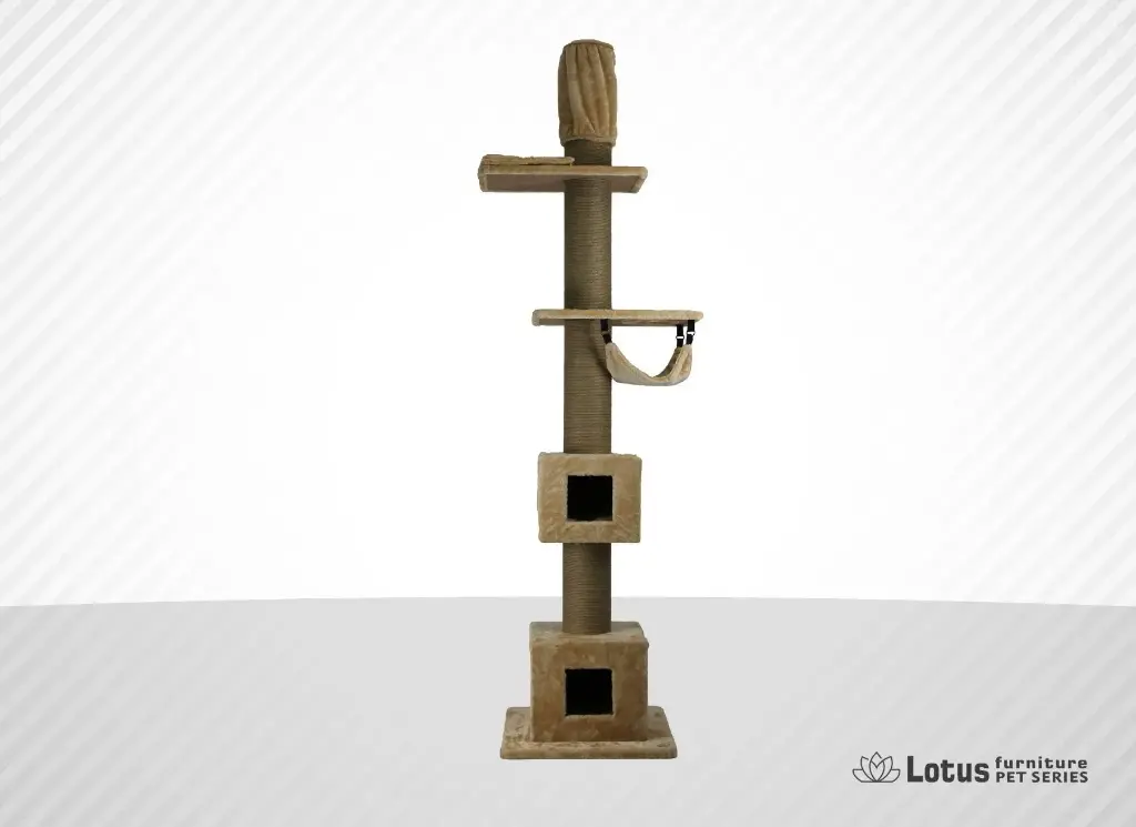 Münih Kedi Tırmalama