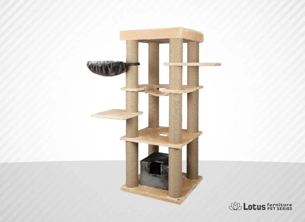 Madrid Cat Scratcher