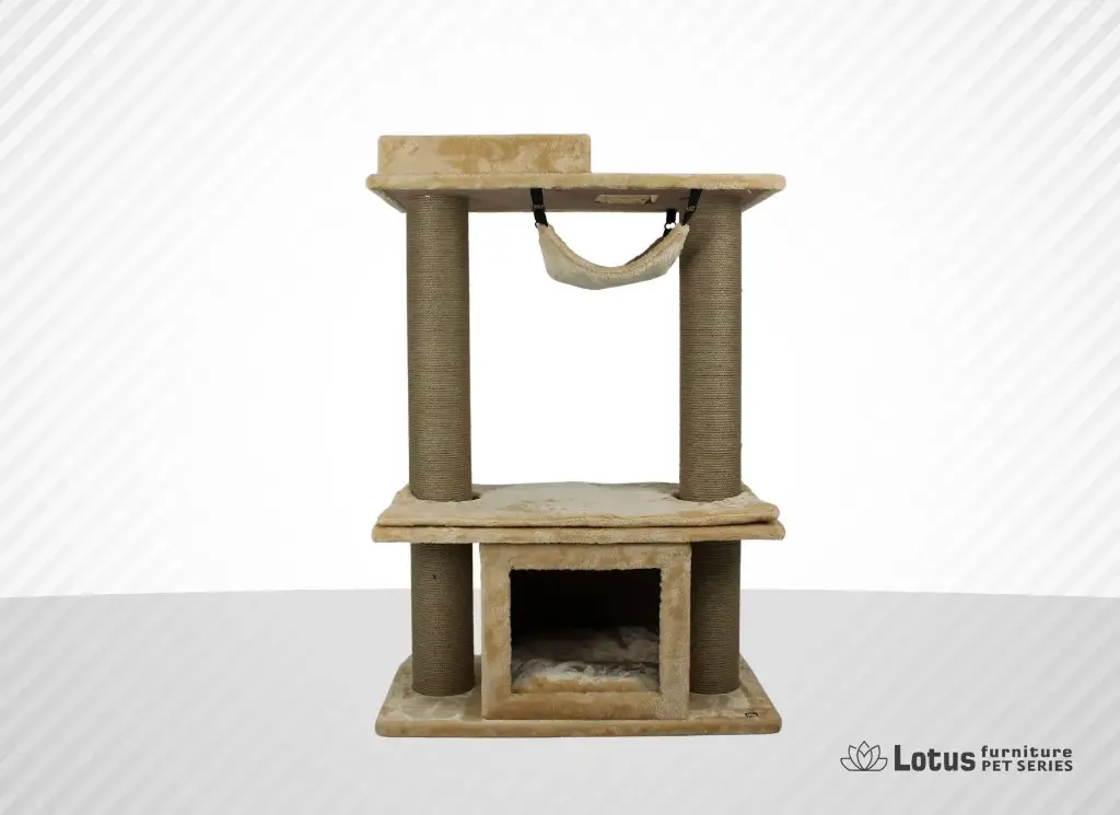 Montpelier Kedi Tırmalama