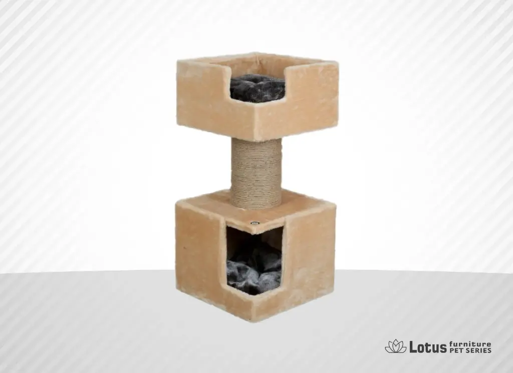 Sevilya Kedi Tırmalama