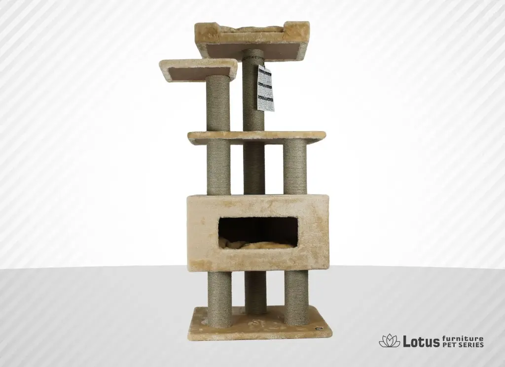 Cenevre Kedi Tırmalama