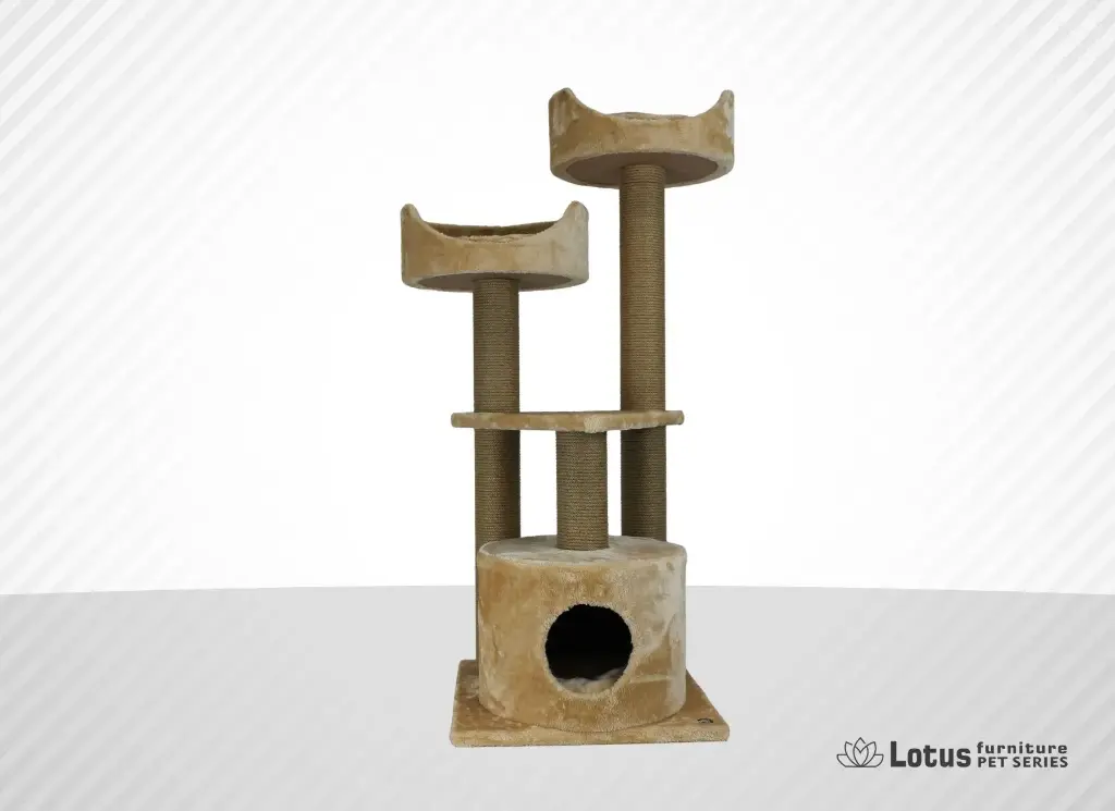 Warsaw Kedi Tırmalama