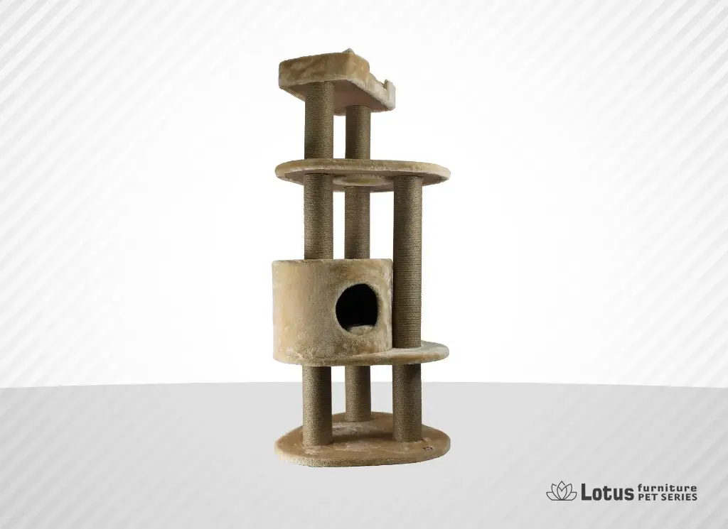 New Castle Kedi Tırmalama