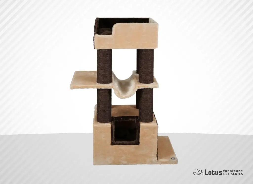 Cape Town Kedi Tırmalama