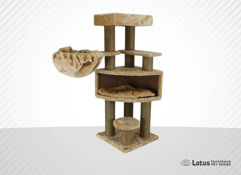 Prag Kedi Tırmalama