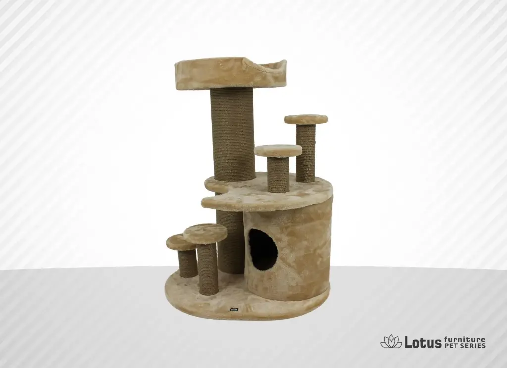 Seul Kedi Tırmalama