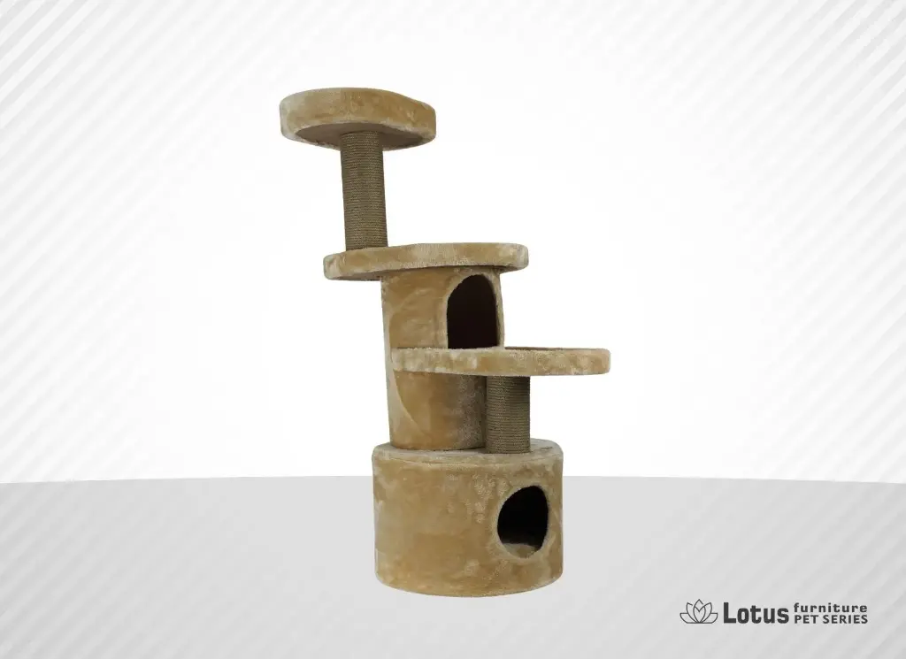 Napoli Kedi Tırmalama