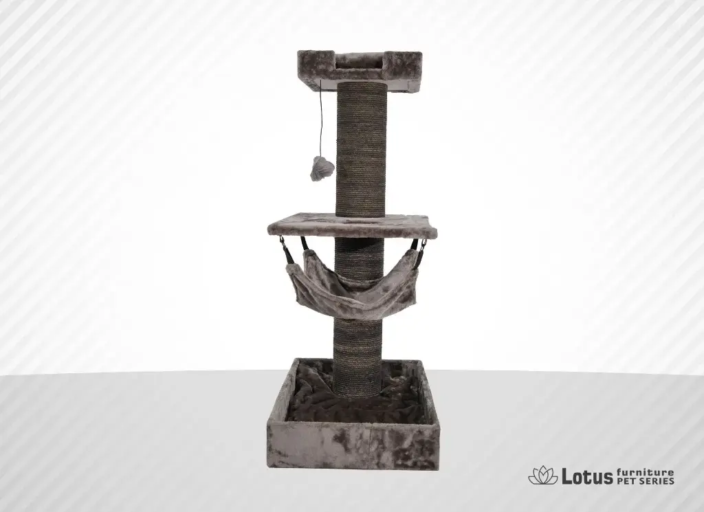 Basel Kedi Tırmalama