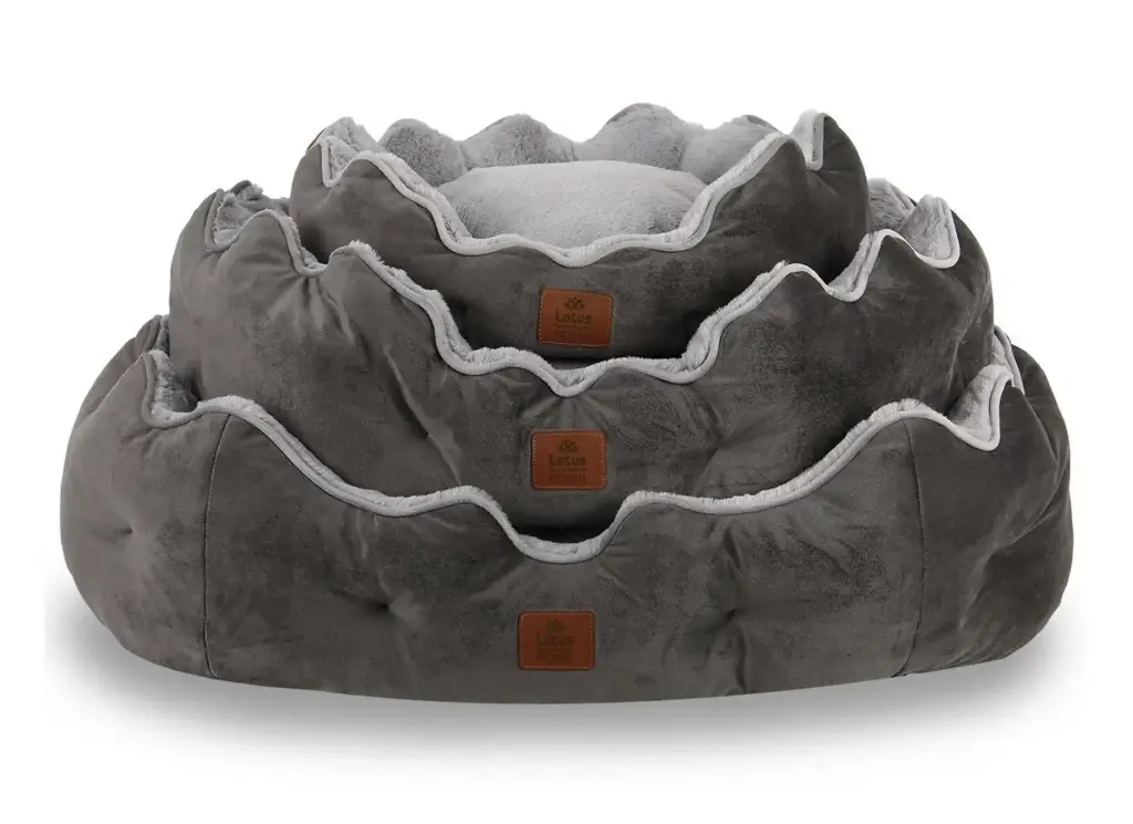 Scarlet Evcil Hayvan Yatağı