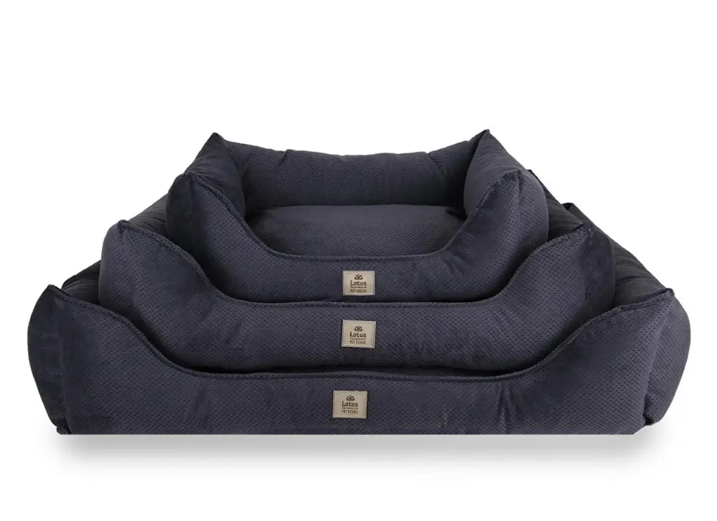 Blanka Evcil Hayvan Yatağı