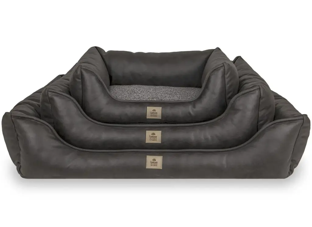 Aster Evcil Hayvan Yatağı