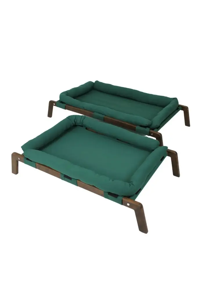 Kedi ve Köpek Hamağı