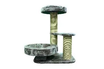 Riga Kedi Tırmalama