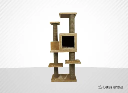Zürih Cat Scratcher