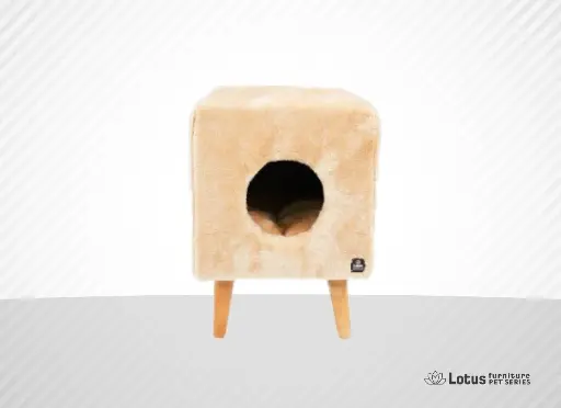 Linz Cat Scratcher