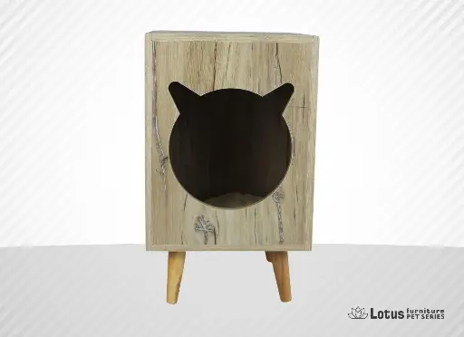 Bonn Cat House