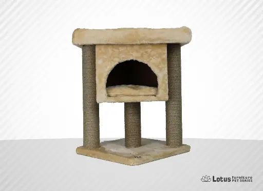 İzmir Cat Scratcher