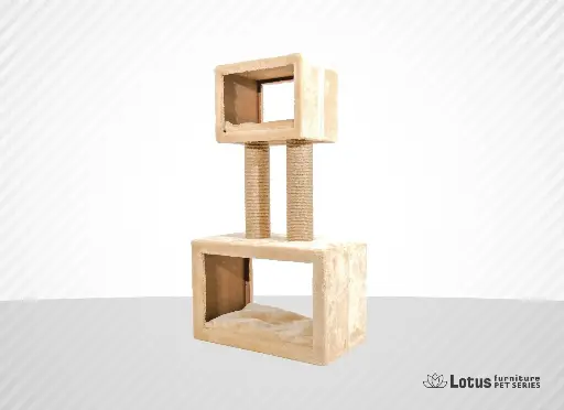 Nantes Kedi Tırmalama