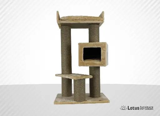 Toulouse Kedi Tırmalama